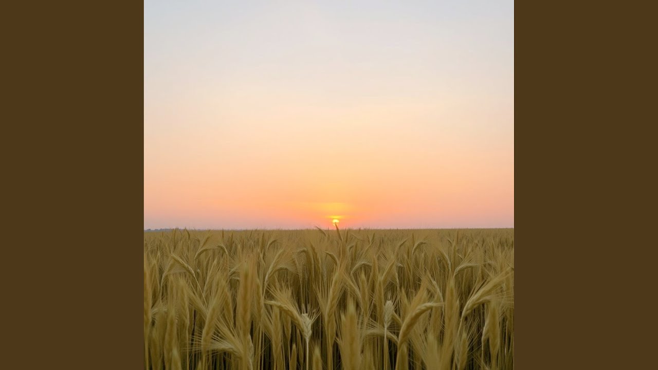 I'm Not Background Noise