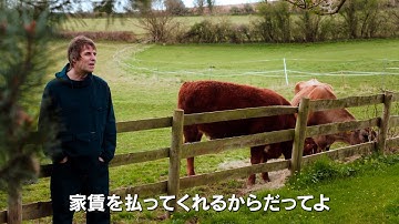 【Oasis】リアム・ギャラガー、兄ノエルとの確執や自身のキャリアなどについて語る『リアム・ギャラガー in ロックフィールド　オアシス復活の序章』予告編