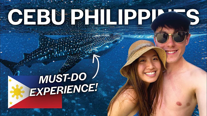 Cebu's Whale Sharks & Kawasan Falls: Philippines Ultimate Experience 🇵🇭 - DayDayNews