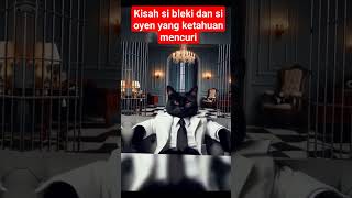 Kisah si bleki dan si oyen yang ketahuan mencuri #kucing #cat