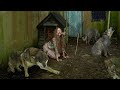 10 FERAL KIDS RAISED By WILD ANIMALS | Unbelievable But Real
