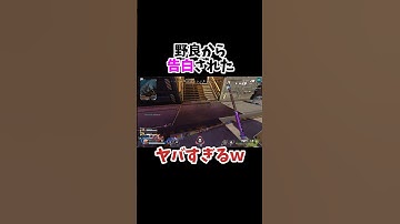 セクハラには気を付けて✋#apex #apexlegends #apex女子 #ライブ配信 #ソロランク #エーペックスレジェンズ #プラチナ帯