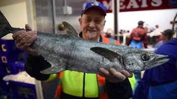 Shop: Greater Dandenong (20 sec) — Discover Your Own Backyard