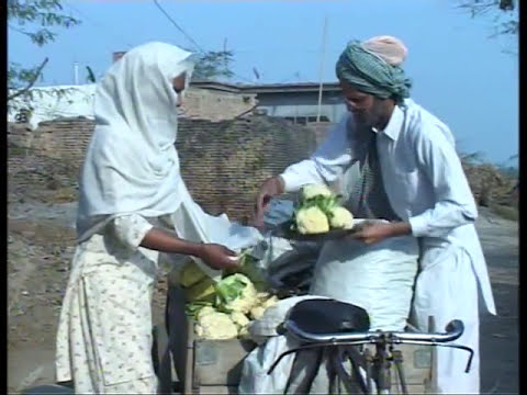 Viral Comedy  SABJI WALA BANEA CHACHA BISHNA