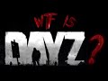 What is DAYZ?!?!? (this game is scary)