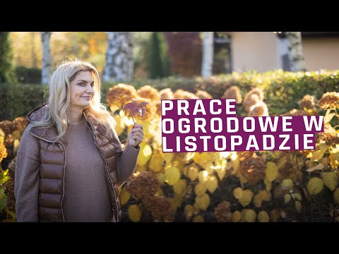 Wideo: Jakie Rośliny Strączkowe Uprawiać W Ogrodzie