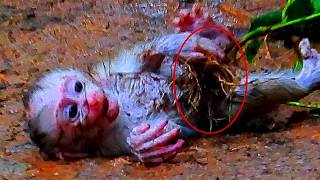 Download Lagu GOD!!! Nice Clip From The Newborn In THis family.! MP3