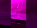 55 gal tank bass spawn #bassfishing #bass #bass #tank #aquaponics