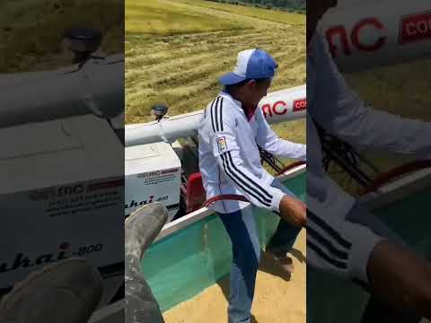 LLEGO LA COSECHA