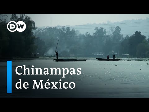 Vídeo: La naturalesa única de la regió de Samara