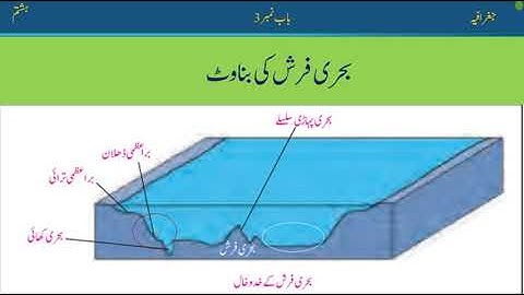 Geography (Punjab Textbook - PTB) Class 8 Chapter# 3 - OCEANS AND SEAS(Lecture-3)  بحری فرش کی بناوٹ