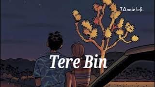 tere bin slowed and reverb.