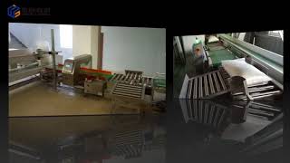 Metal detector and checkweigher for 25kg pakaged flour