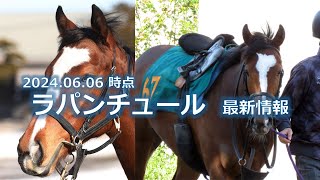 ラパンチュール 2024.06.06時点の最新情報