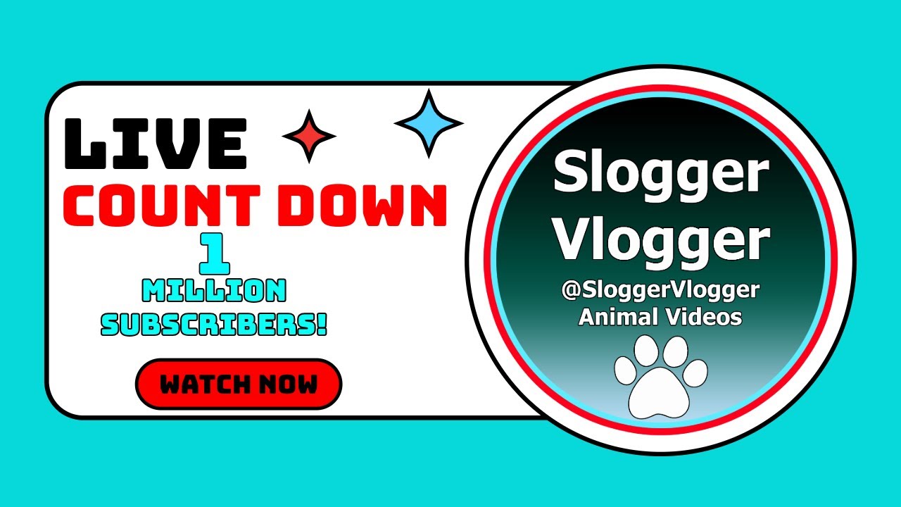 Live Countdown to 1 Million Subscribers! 🎊 - YouTube