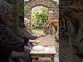 Grandma Didn’t Notice the Tiger… Until It Was Too Late 😳