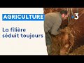 Naturapolis le lyce qui forme les jeunes agriculteurs  chteauroux