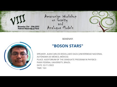 Boson Stars -