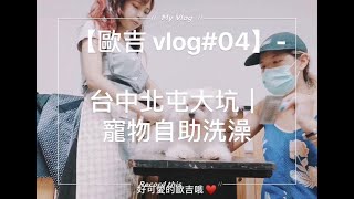 【歐吉vlog#04】- 台中北屯大坑｜寵物自助洗澡｜馬爾濟斯 ... 