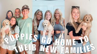 PUPPY GO HOME DAY | INDYS ISLAND LITTER