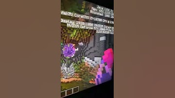 Exactly what you came here for. 21w10a Single Biome: Lush Cave. The Peter meme.