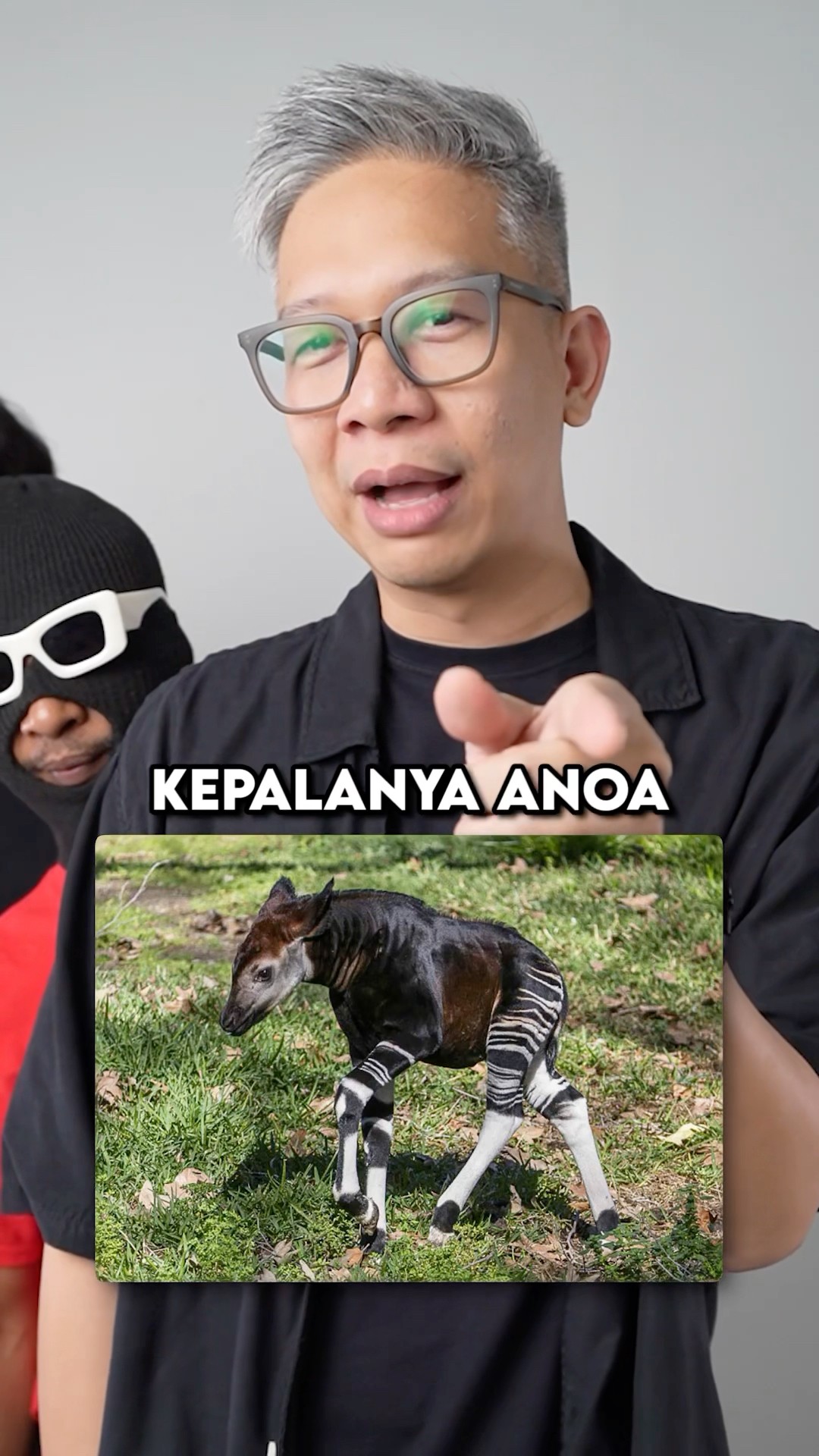 MAMALIA APA INI??!!
