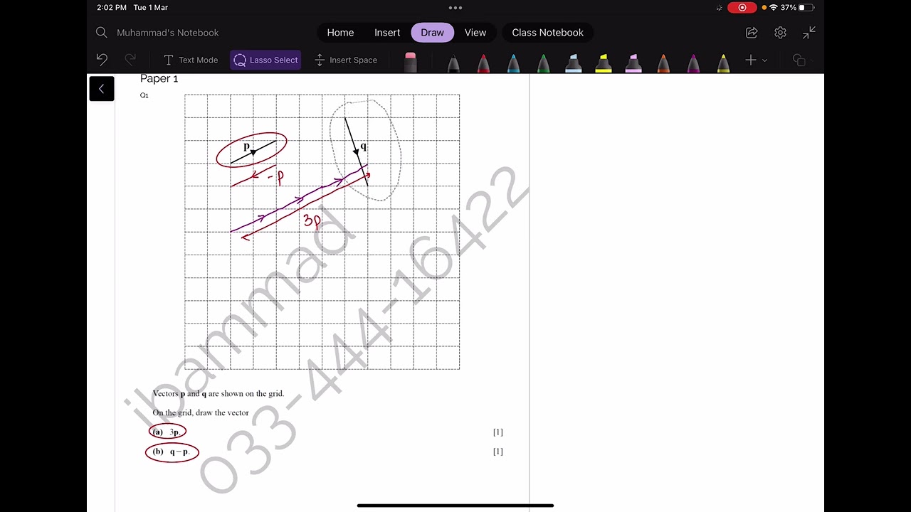 Vectors Graph Questions | O levels | GCSE | IGCSE