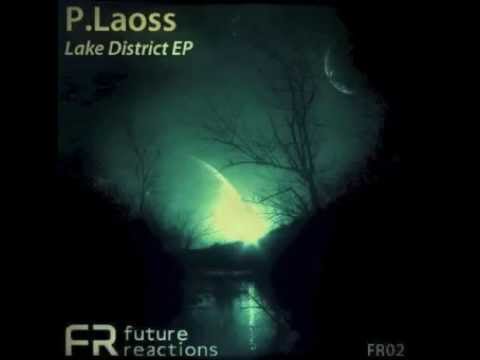P.Laoss - Bamboo Hut