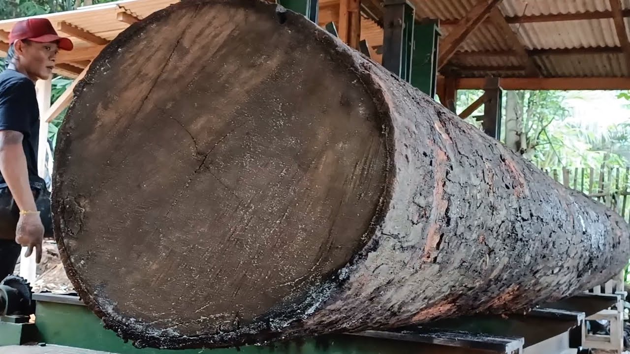 Extreme Wood Cutting at the Sawmill || The Amazing Process of Sawing a ...