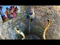खतरनाक रेस्क्यू, कुएँ में नाग नागिन पर नाग को ही निकाला आखिर क्यूँ |Most Dangerous Snake Rescue, CG