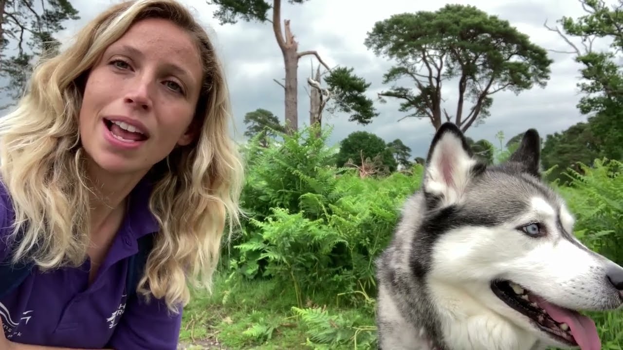 Heath Week 2022 | Clinton Devon Estates