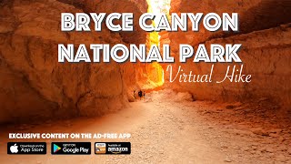 Bryce Canyon National Park Navajo Trail Virtual Hike
