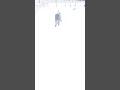 Is he stuck? big dog big snow