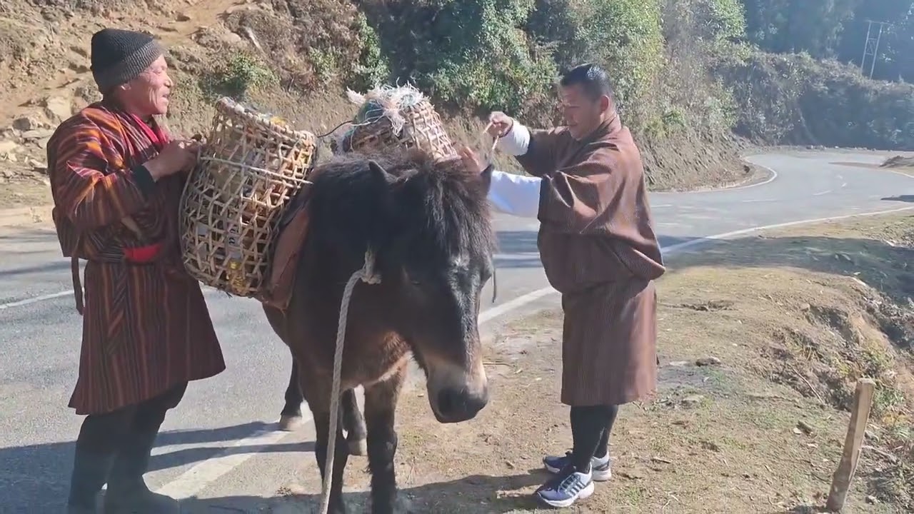 Most Reliable Transportation in medieval Bhutan