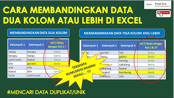 Cara Membandingkan Dua Kolom Atau Lebih di Excel | Mencari Data Sama/Duplikat, Berbeda/Unik
