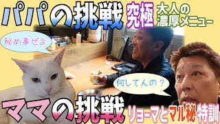 パパの挑戦とママの秘密の挑戦！ついに店舗潜入！ここがsakagamike café だ！！ by 坂上家のチャンネル 244,244 views 2 weeks ago 12 minutes, 55 seconds