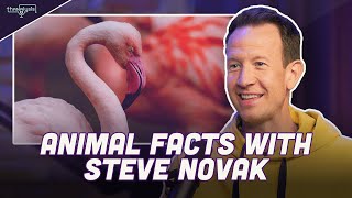 Animal Facts with Steve Novak and Thanasis Antetokounmpo