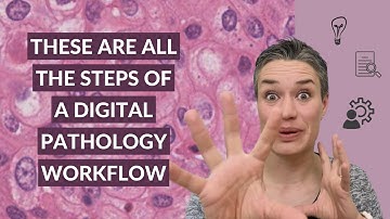 Digital Pathology Workflow
