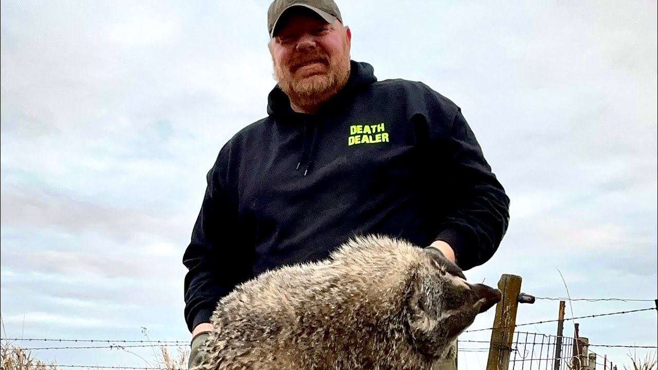 Trapping Badgers: A Guide to Trail Techniques - YouTube