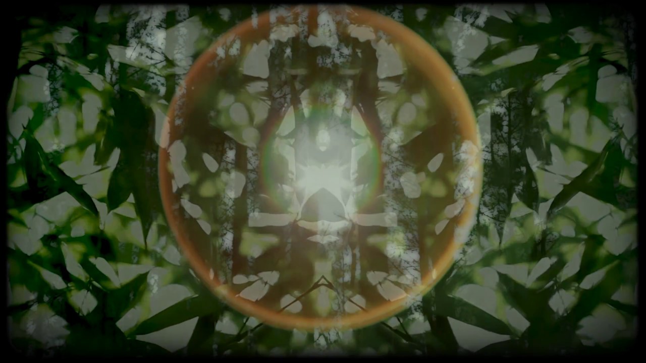 Obejrzyj Anton Kubikov - Kurt's Forest (Official Video) w YouTube Obejrzyj Anton Kubikov - Kurt's Forest (Official Video) w YouTube