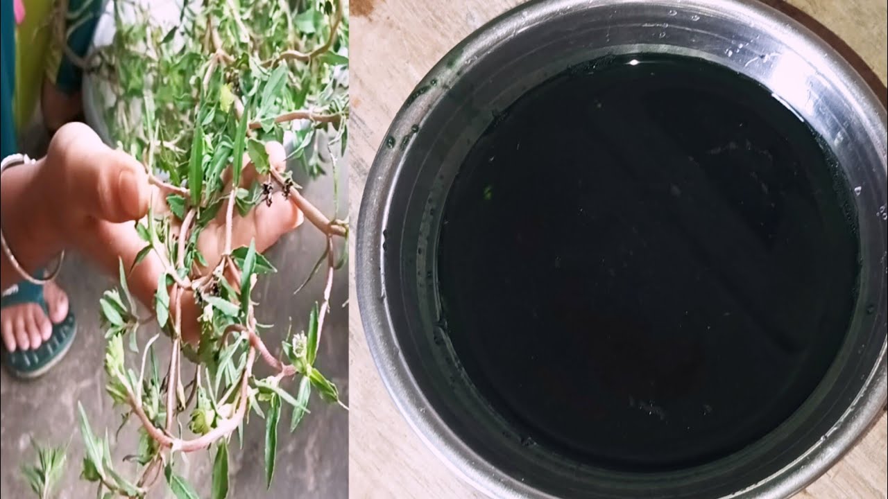 মাথাও চুল ভালো রাখতে চান একবার এই ভিডিও টি দেখুন সব সমস্যা সোলভ গ্যারান্টি।khude kesto chuler recipe