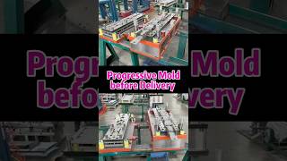 Automotive Sheet Metal Component Progressive Mold: Clean and Paint it before Delivery.Stamping Mold
