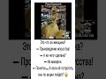 #funny #fun #шуточное #юмор #смехпродлеваетжизнь #ржач #мемас #ржака #прикол #анекдоты #море #мем