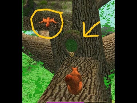 Летяга. Гигантская белка летяга. Игра про белку летягу. Игра симулятор мыши белка. Летяга симулятор.