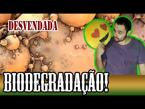 Vídeo: Diferença Entre Biodegradável E Não Biodegradável