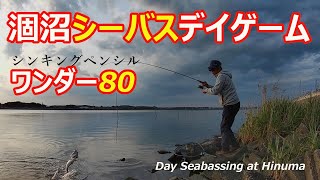 シーバス 涸沼シーバスデイゲーム シンペン ワンダー80 涸沼 21年5月中旬 Sea Bass Day Seabass In The Hinuma Youtube