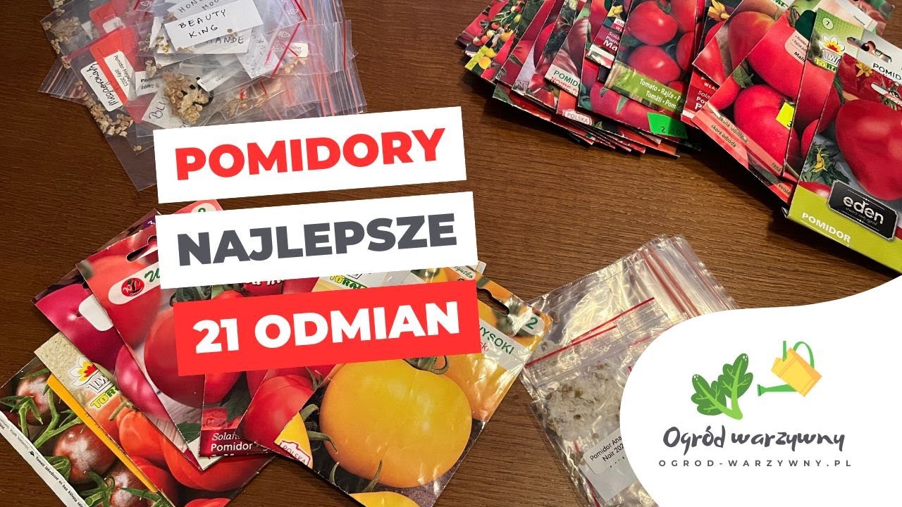 Odmiany pomidorów na kolejny sezon | Najlepsze odmiany pomidorów