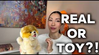 Realistic Walking Dog Toy Review | Amazon Find