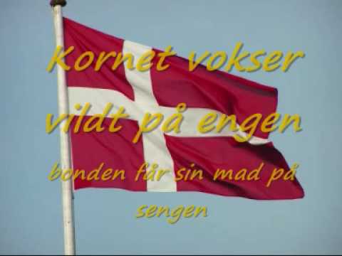 Shu bi dua Danmark med tekster