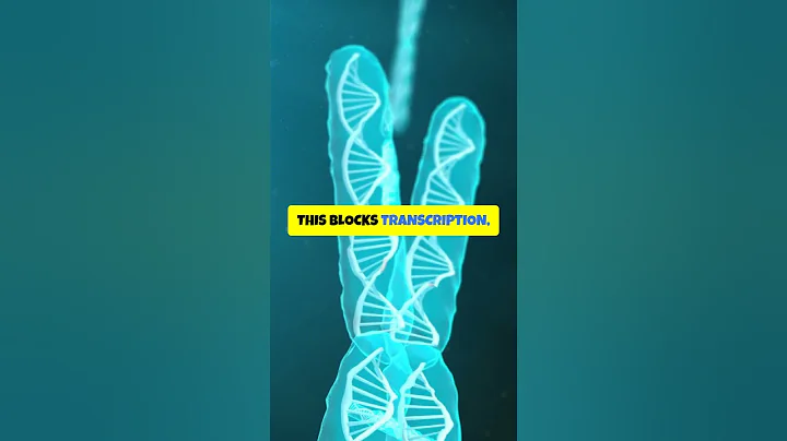 Prokaryotic cells turn genes on and off by controlling transcription.